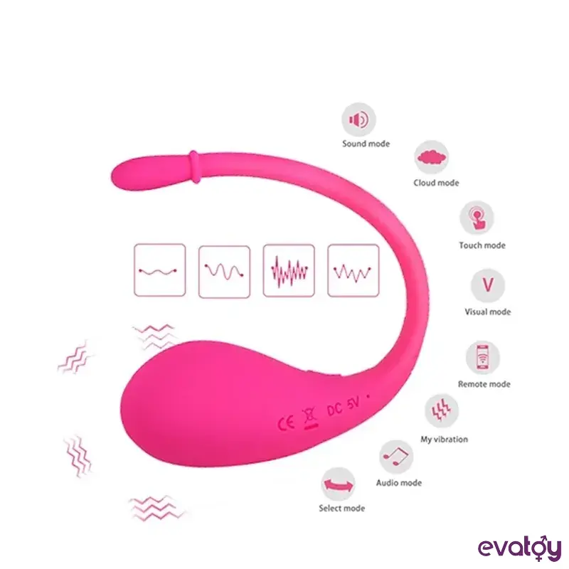 toyzfa-ciftler-icin-telefon-kontrollu-vibrator-2