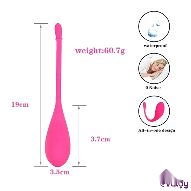 toyzfa-ciftler-icin-telefon-kontrollu-vibrator-3